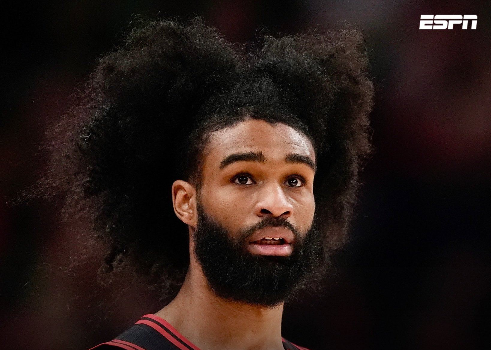 Shams: Coby White retornará às quadras hoje contra o Jazz para sua primeira temporada da temporada