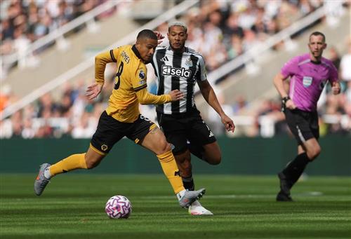 Newcastle United x Lobos