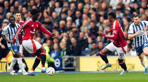 Brighton x Manchester United